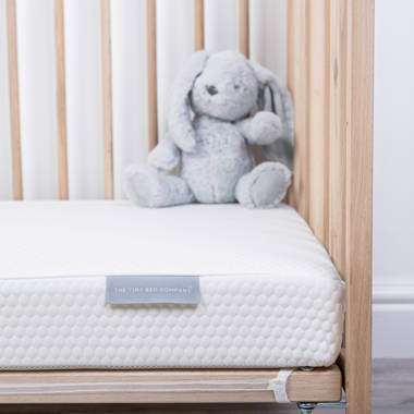 The Tiny Bed Company Dual Core Cot Mattress Size Cot 60 x 120 cm Wayfair